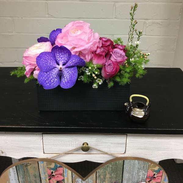 Ranunculus Dreaming