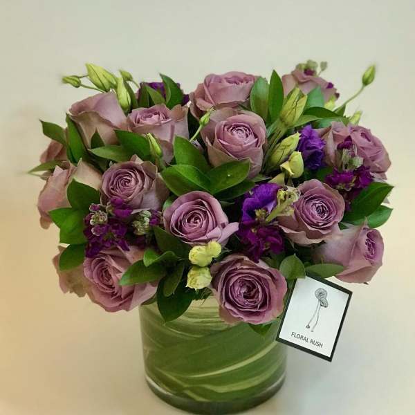 Purple Crisp