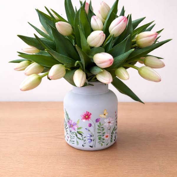 Blush tulips
