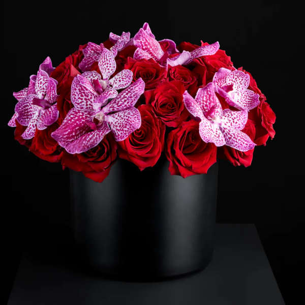 Dolce Rosa