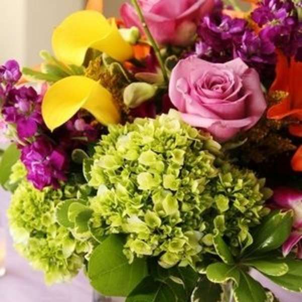 Celebration Flowers