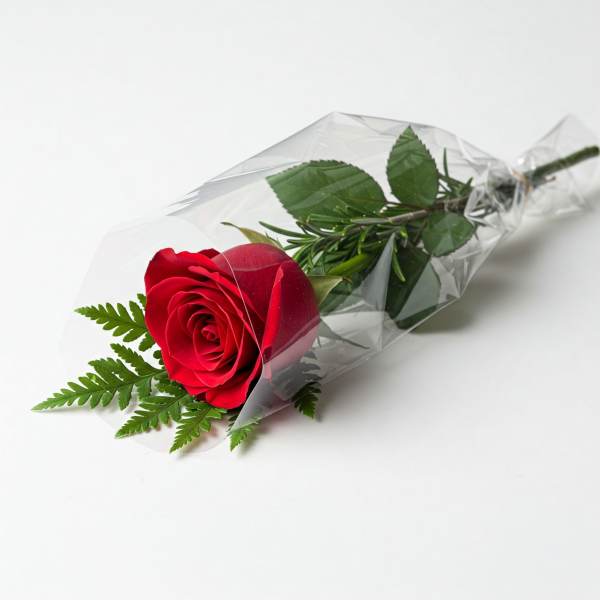 SINGLE ROSE