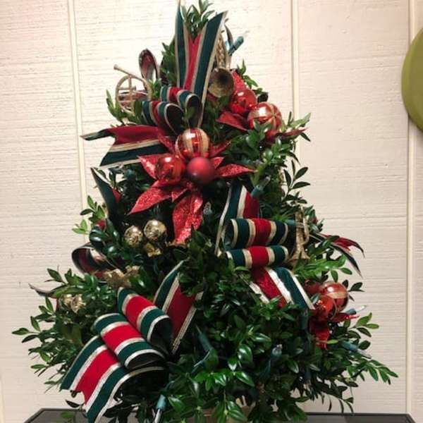 Boxwood Tree