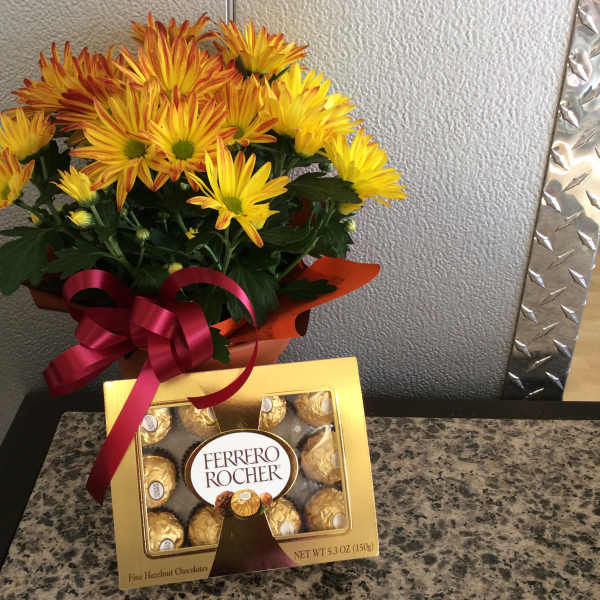 ASU Daisy Plant & Chocolates