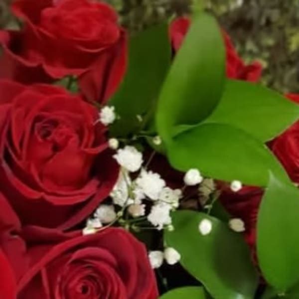 Close-up bouquet of red roses with white baby's breath