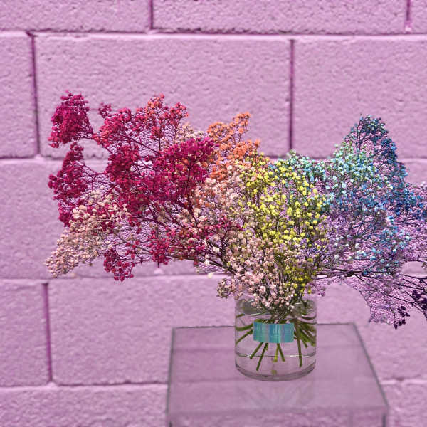 Love is Love