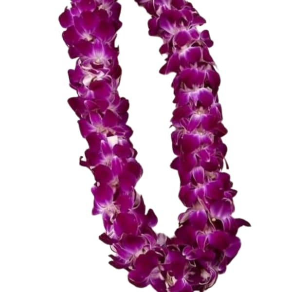 Purple orchid lei on a white background