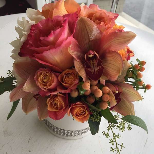 Orange Delight