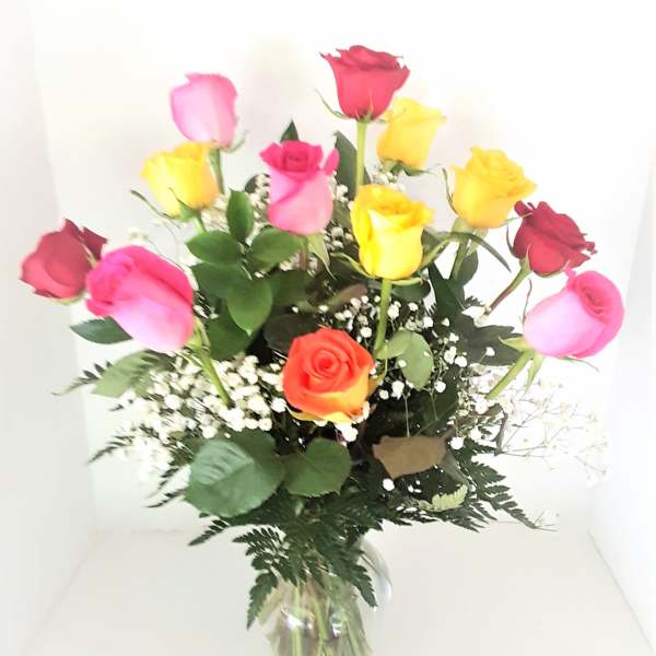 Rainbow Roses