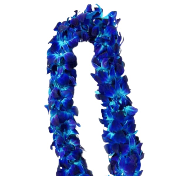 Blue flower lei made of clustered blossoms
