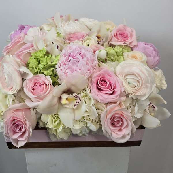 The Serenity Blush