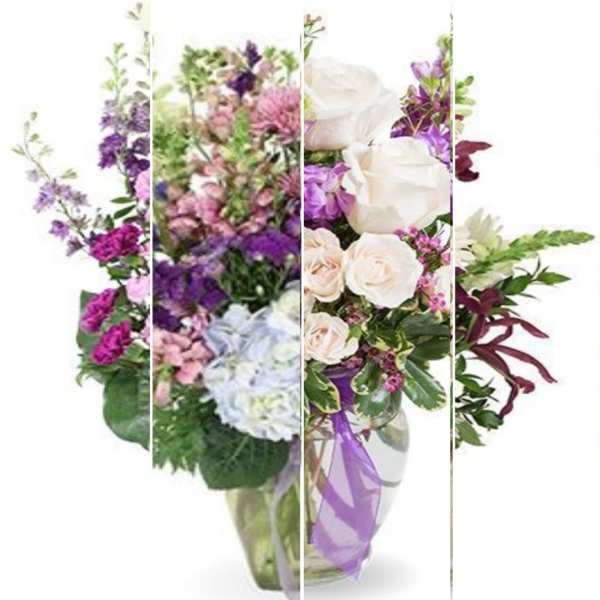 Designer's Choice: Purple