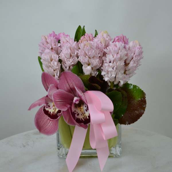 The Beaty Pink