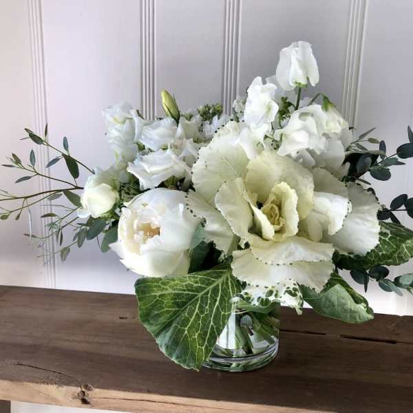 WHITE WONDER