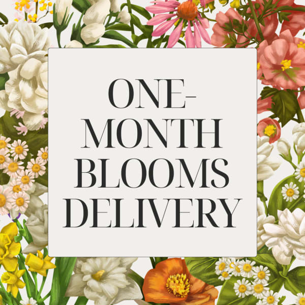Floral graphic with the words "ONE-MONTH BLOOMS DELIVERY"