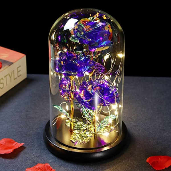Purple roses under a glass dome with string lights