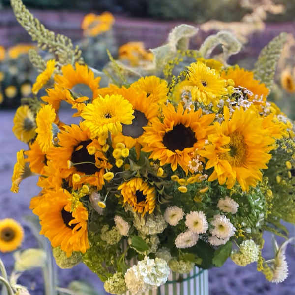 Bouquet of yellow sunflowers and white filler flowers in a striped vase