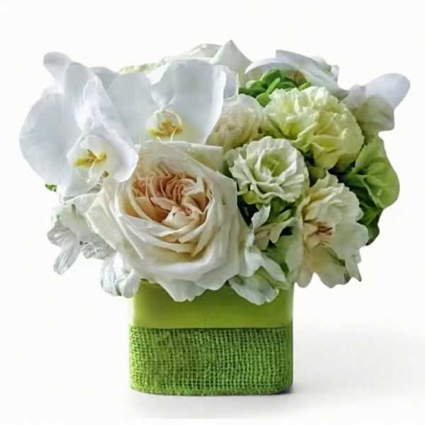 Healing Citrus Sunshine Bouquet - Get Well Flowers in Haddonfield & Haddon Township