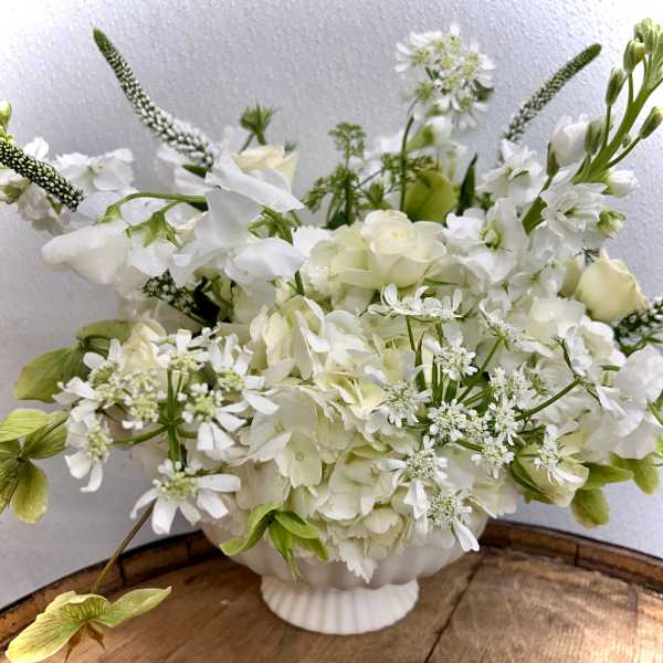 Sonata Blanca