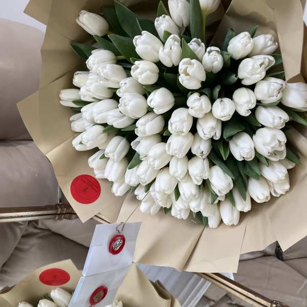 Tulips