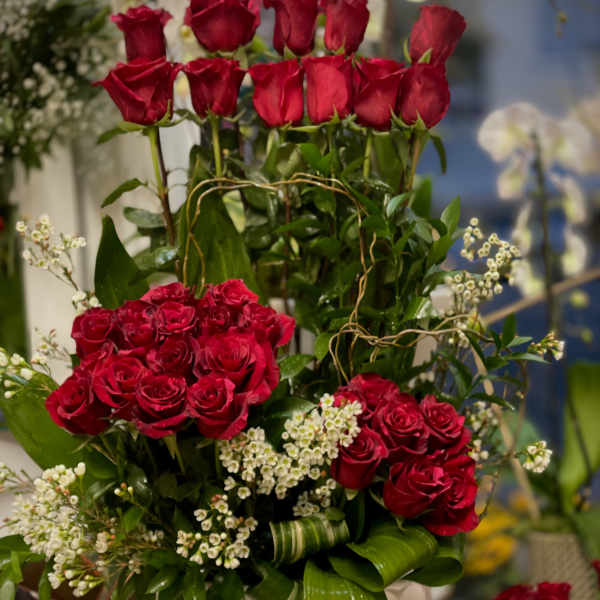 Red roses arranged in a white vase with white filler flowers