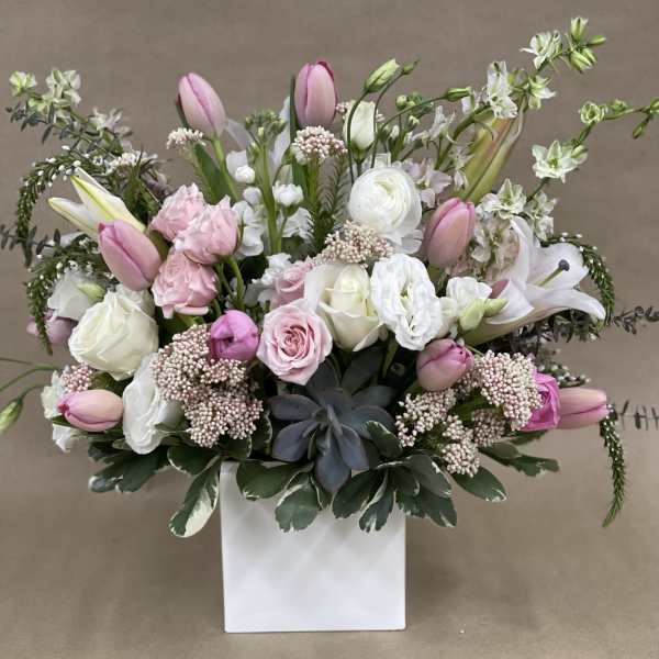 Beauitful Blush