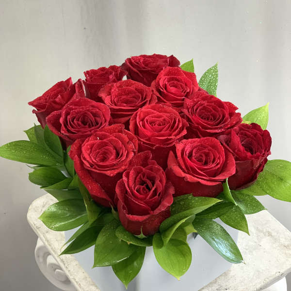 Modern Roses