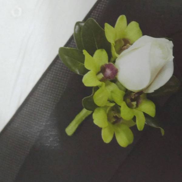 sweet orchids