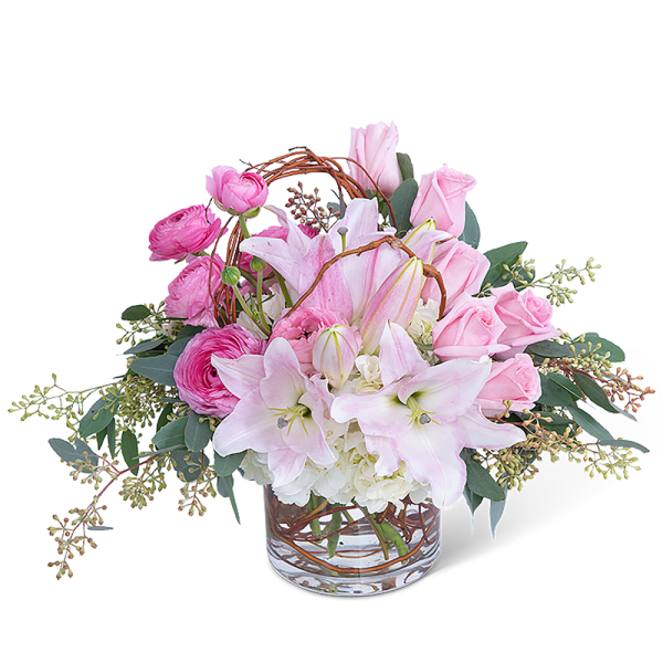 Blush and Willow