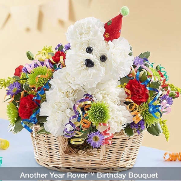 Another Year Rover