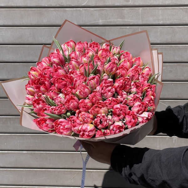 Spring Tulips