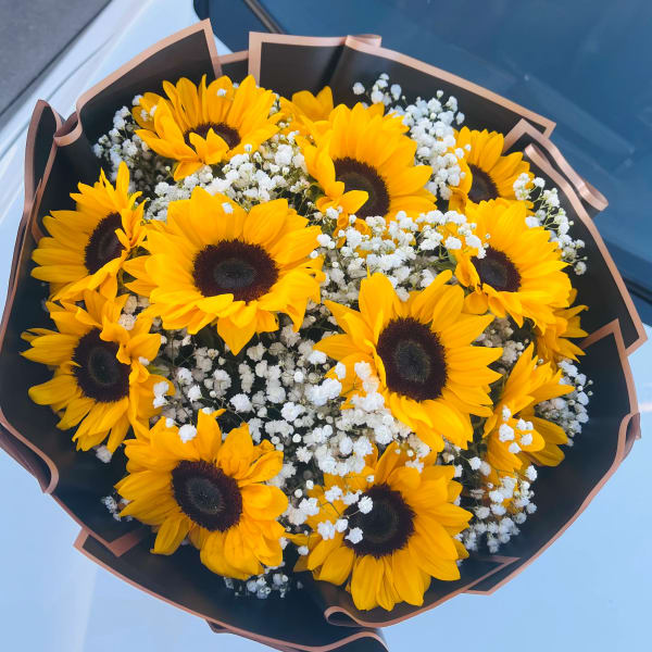 Sunflower Shine