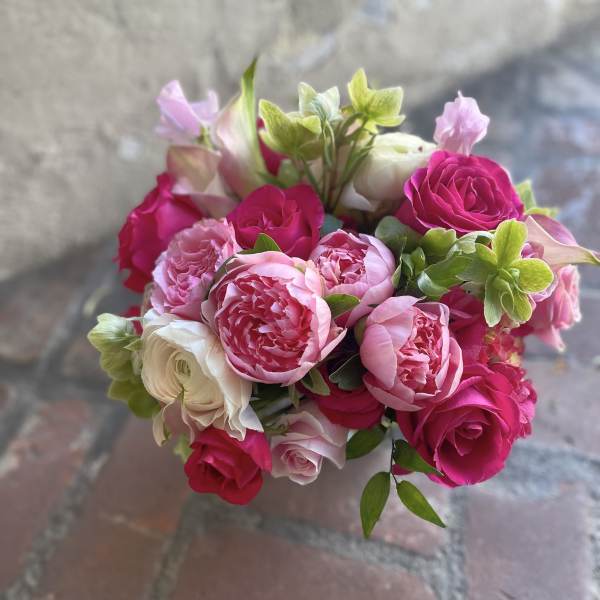 PREMIUM Pinks