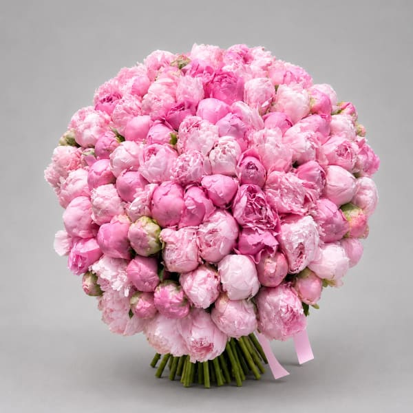 Peony Cloud