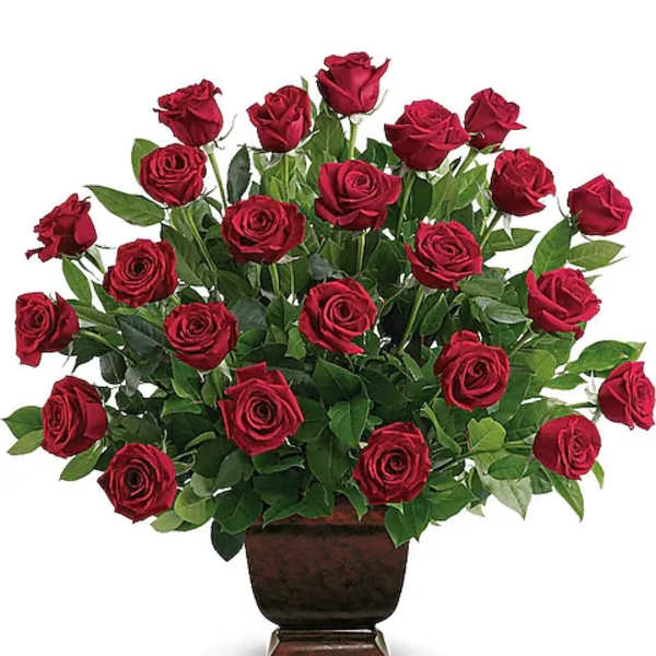 Rose Tribute
