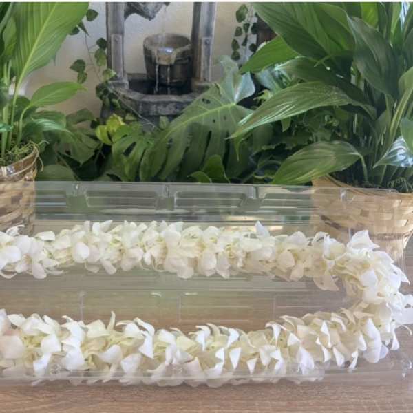 WHITE LEI