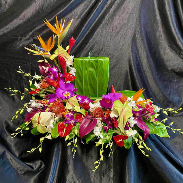 Tropical floral arrangement with orchids and bird-of-paradise on a black drape