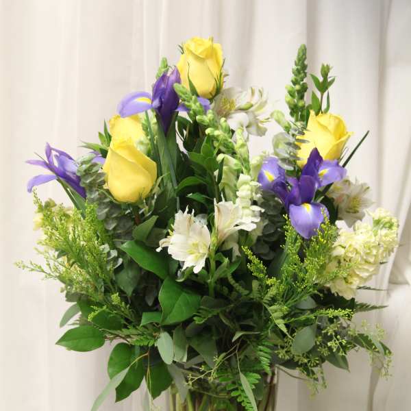 Iris Celebration