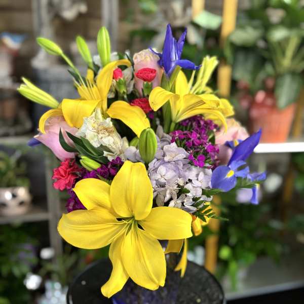 Color Beauty Floral
