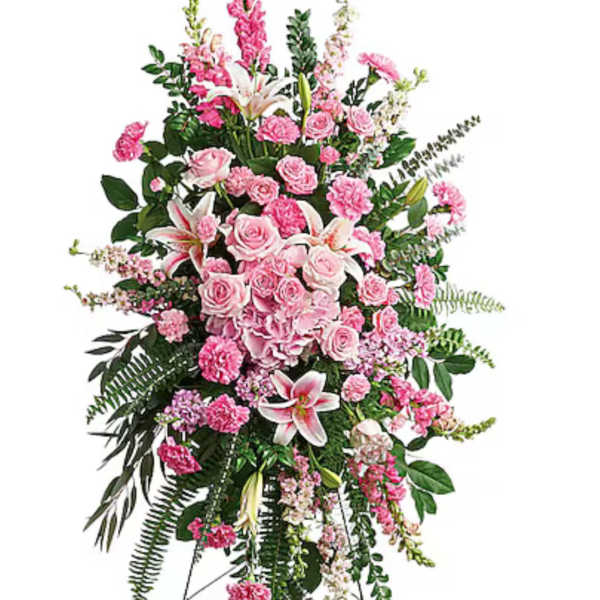 Soft Pink Harmony