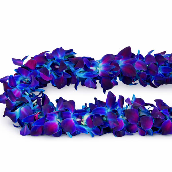 Graduation Lei