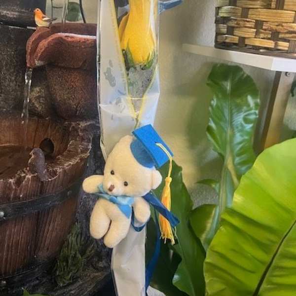 Single yellow rose in clear wrap with a teddy bear and graduation cap