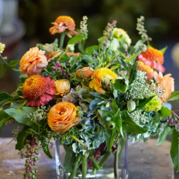 Wild Summer Garden