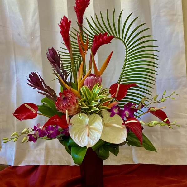 “Aloha Queen”