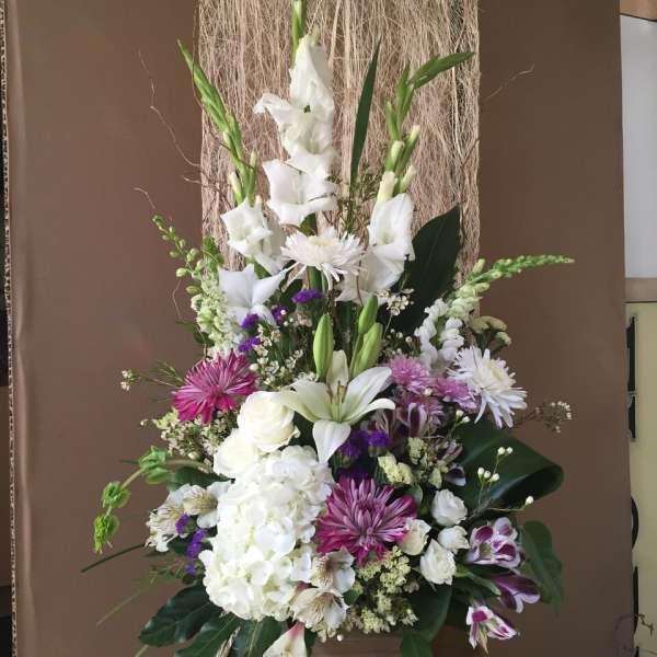 Purple & White