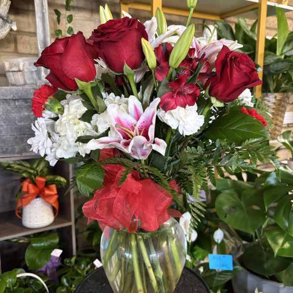 Stargazer/ROSES