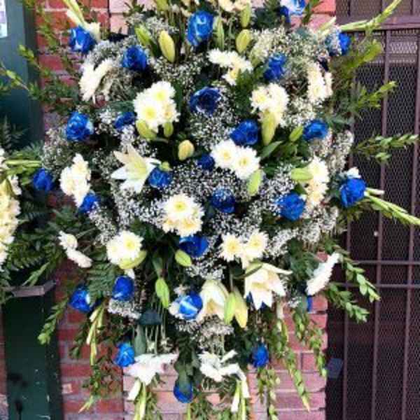 Blue & White