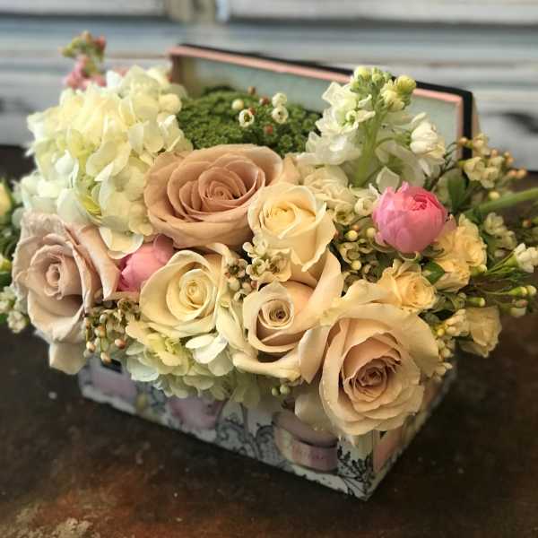 Soft and Sweet