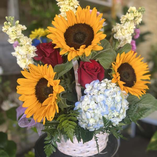 Basket arrangement with sunflowers, red roses, and pale hydrangeas