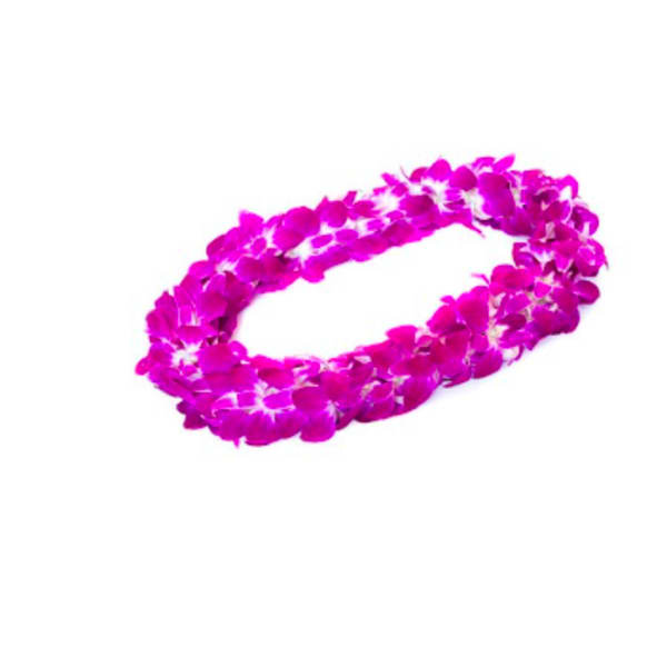 Purple flower lei on a white background